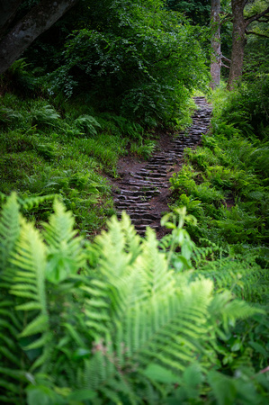 Secret Stairway